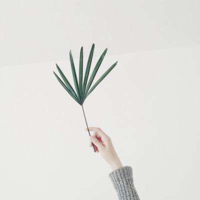 云开平台app官方最新版本