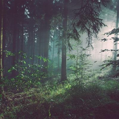 极速飞艇计划下载手机版